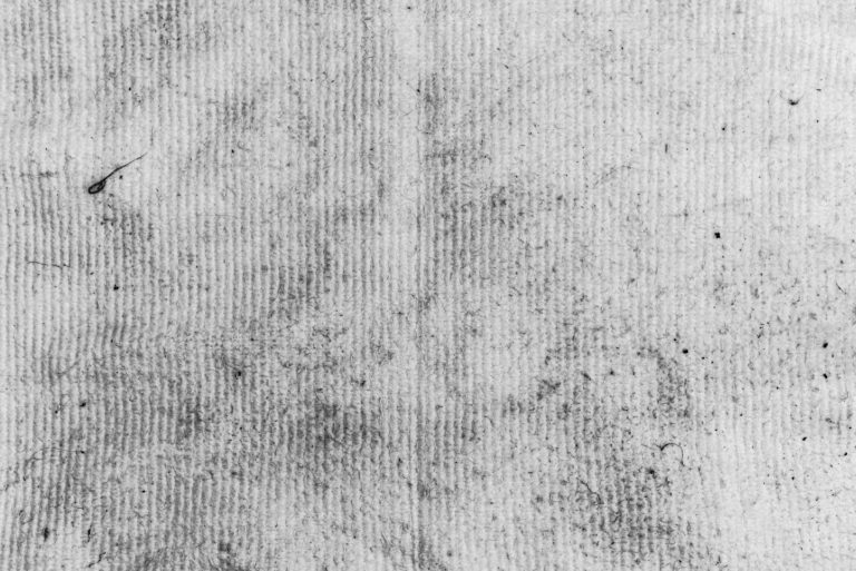 Como tirar mofo de toalha de banho de maneira simples e fácil